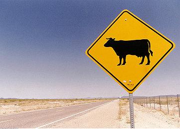 迪士尼投资Epic15亿美元打造全新游戏和娱乐宇宙